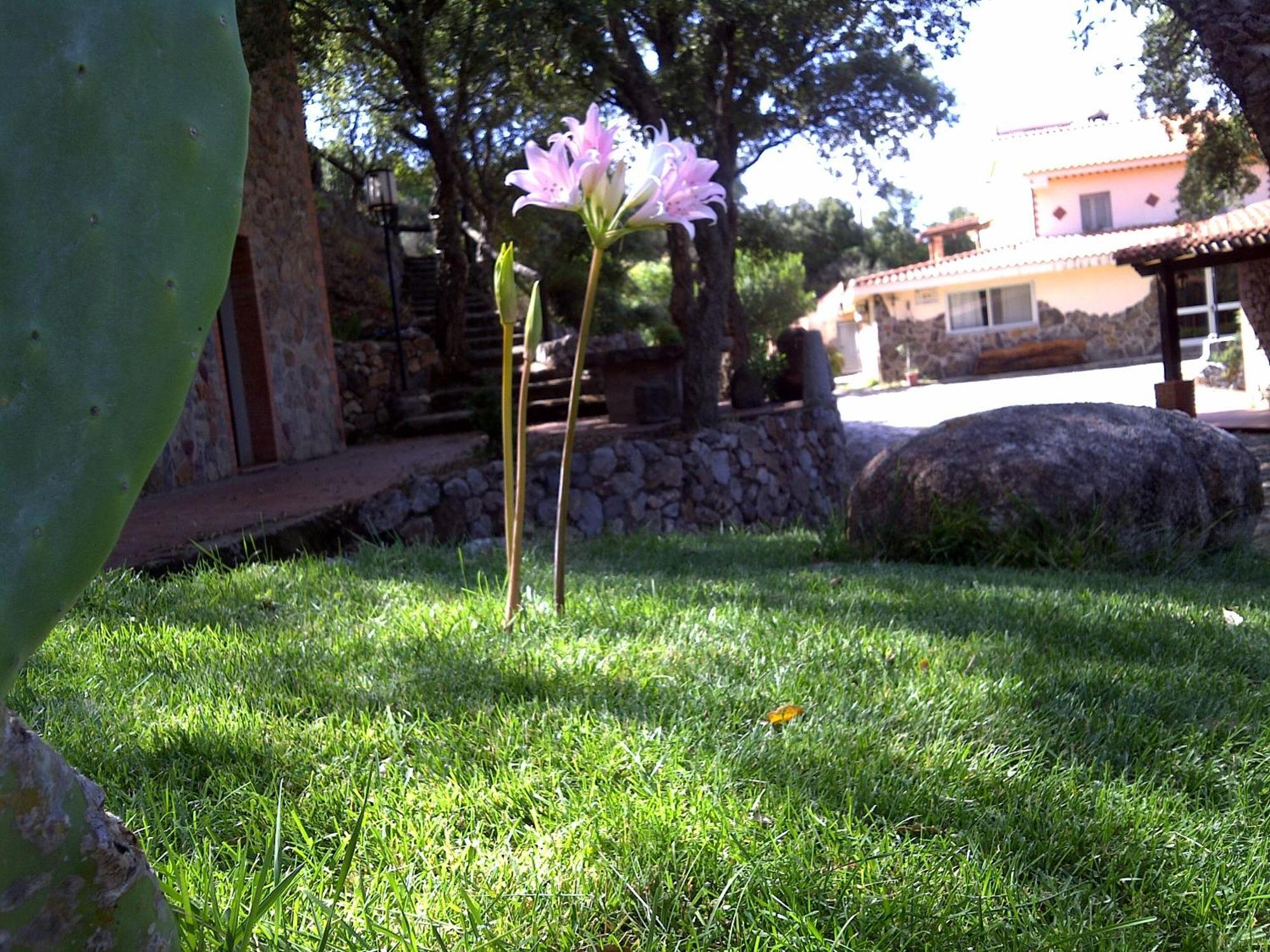 La Quercia Guest House อาร์บุส ภายนอก รูปภาพ